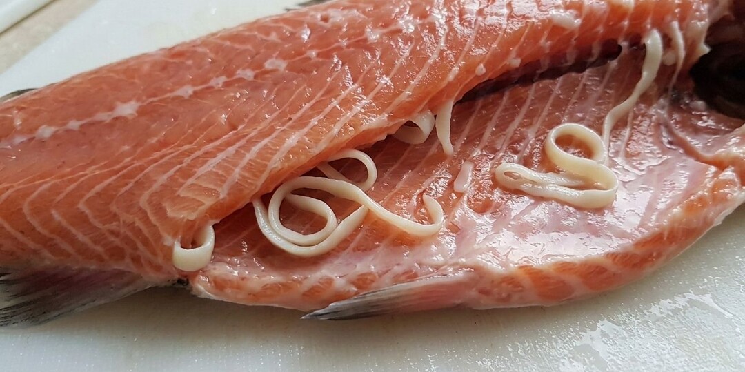 Рыбы из магазина которые практически всегда 💯% с солитером!