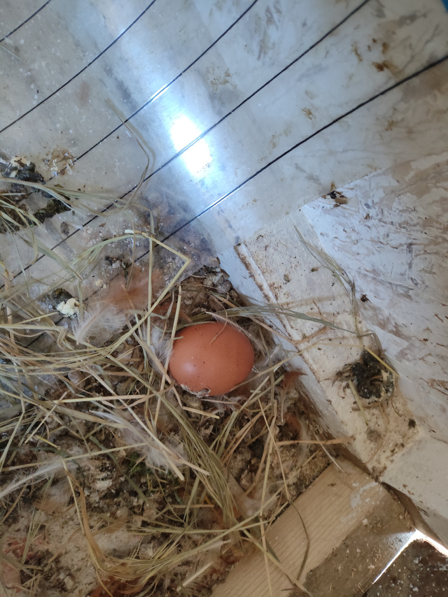 Урааа, первое!!! Можно скоро попробовать соединить девушек...