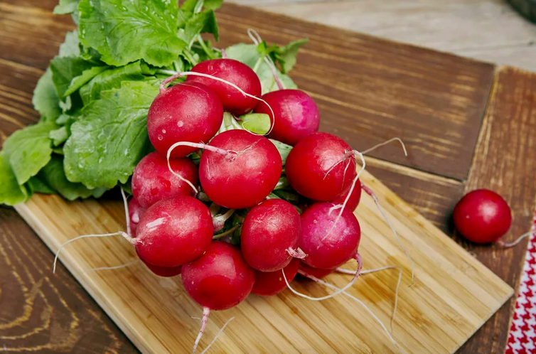 Ранняя редиска в пучках. Откуда к нам идет? Есть ли вред для здоровья?