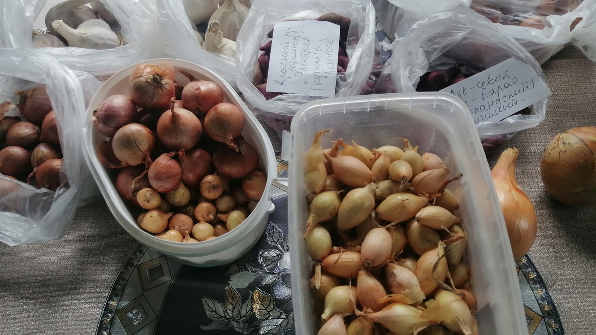 Отбор севка