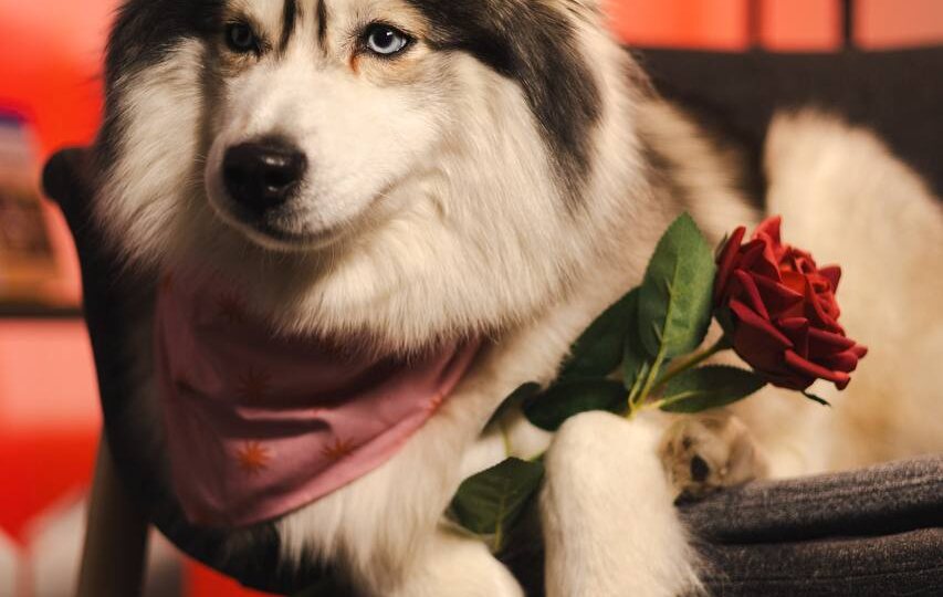 Девушки, с 8 марта