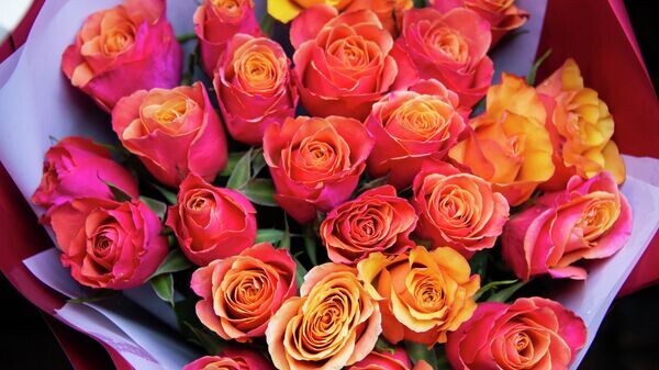    © РИА Новости Крым . Дмитрий Макеев