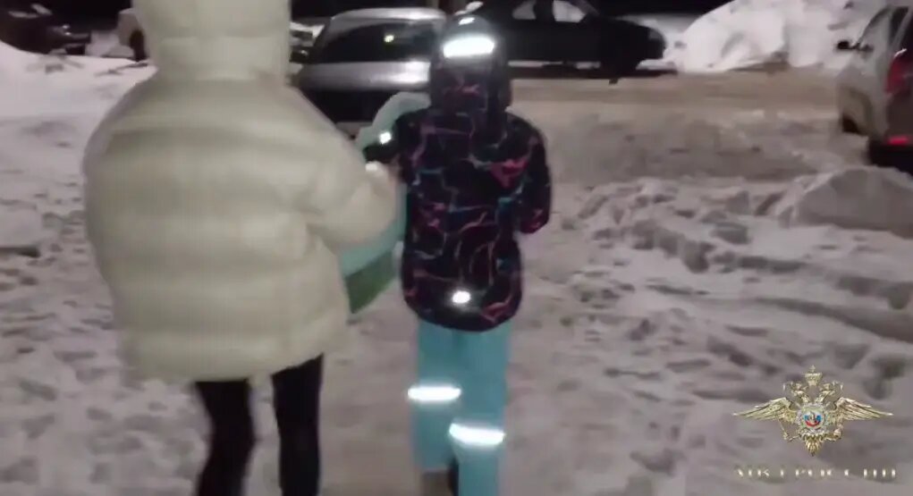    Фото: кадр видео МВД России