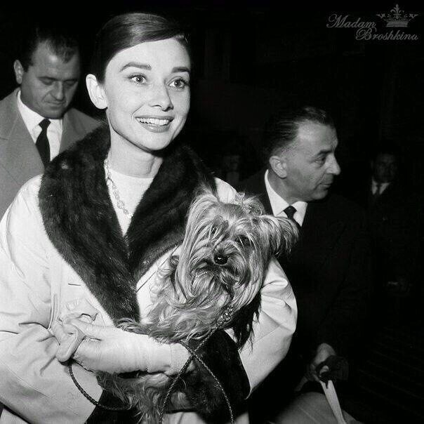 Одри Хепберн и Мистер Феймос.