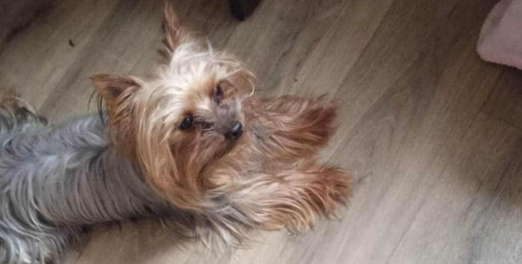 А я все вспоминаю восьмое марта двухлетней давности