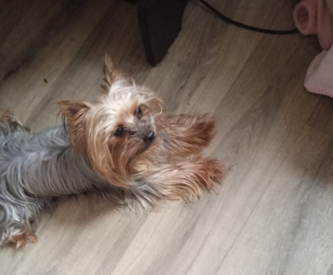 Виновник торжества, Отец Жульен.