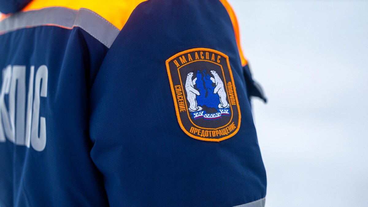    Фото: Никита Погодин / «Ямал-Медиа»