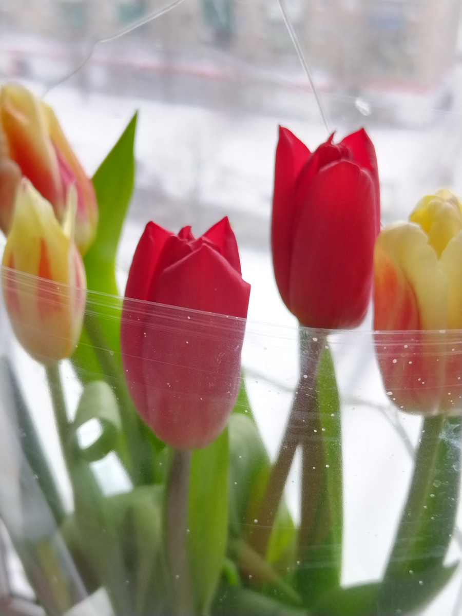 Фото сегодняшнего дня 🌷😌