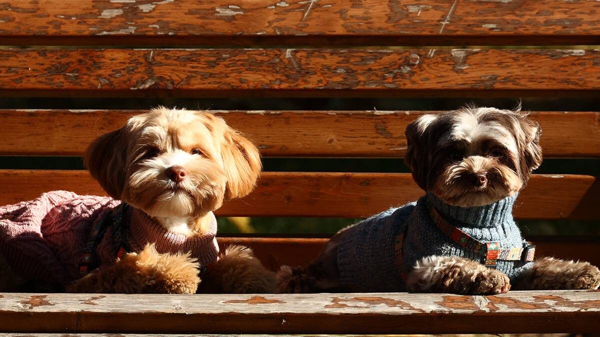    Фото: Ярослав Чингаев / АГН Москва