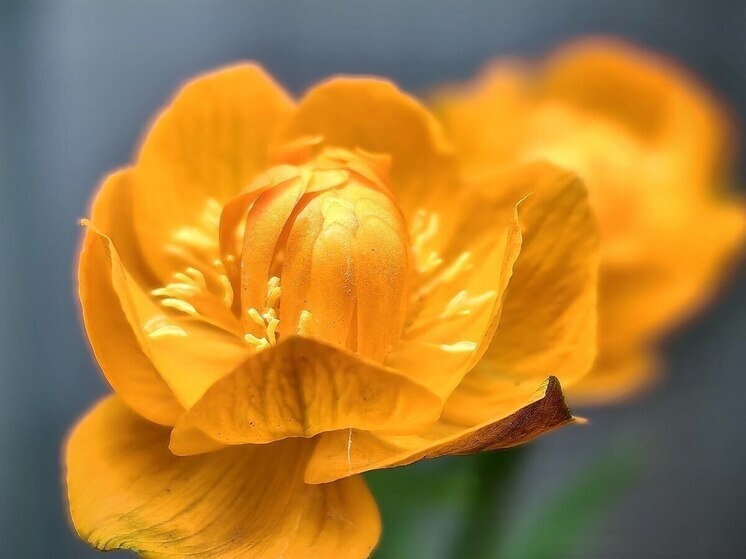     Для участников подготовили интересную программу. Фото: Архив МК в Великом Новгороде