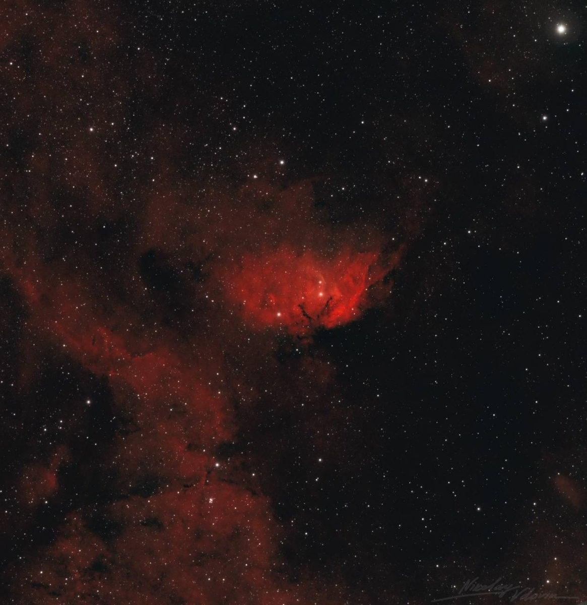    «Роскосмос» оригинально поздравил с Международным женским днем© Роскосмос