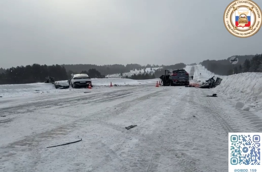    © ГУ МВД России по Пермскому краю