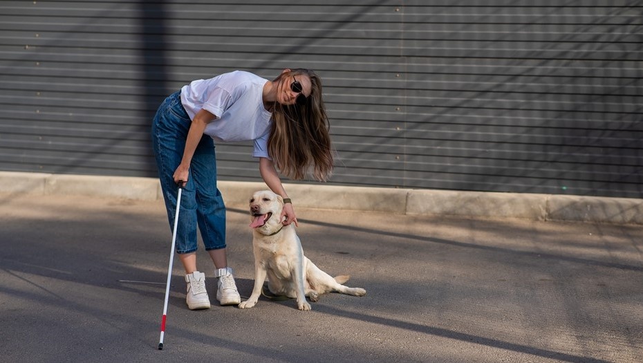    Автор фото: Reshetnikov_art / Shutterstock / FOTODOM