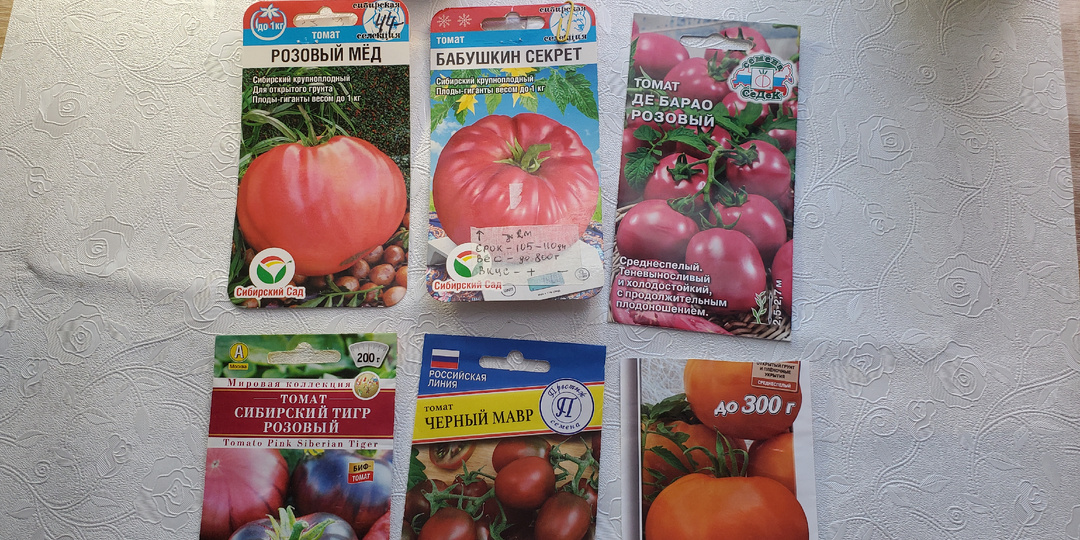 Томаты 2026 -догоняю впереди идущих