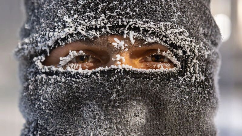    Фото: Федор Воронов / «Ямал-Медиа»