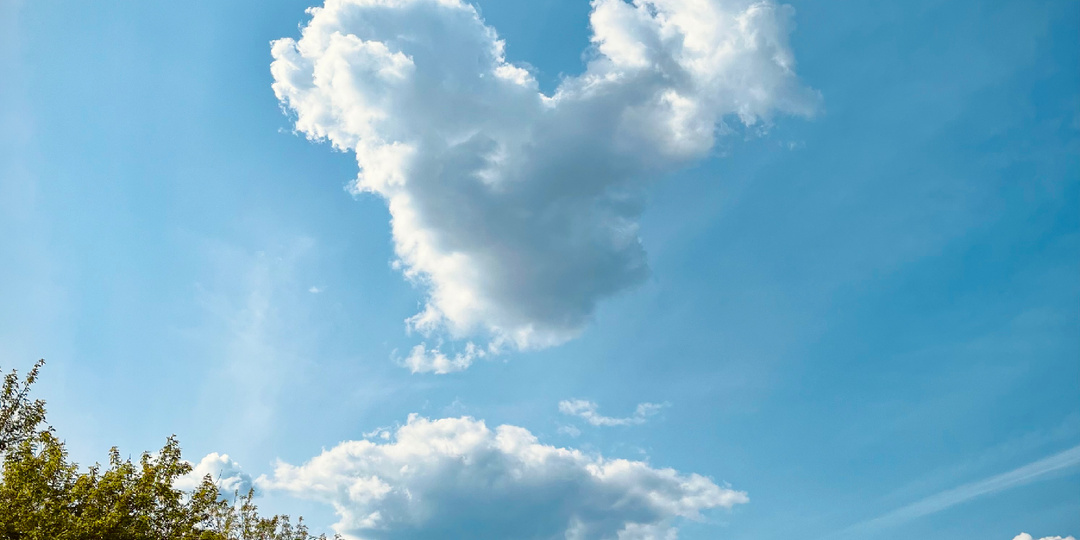 Скажите, что такое любовь?