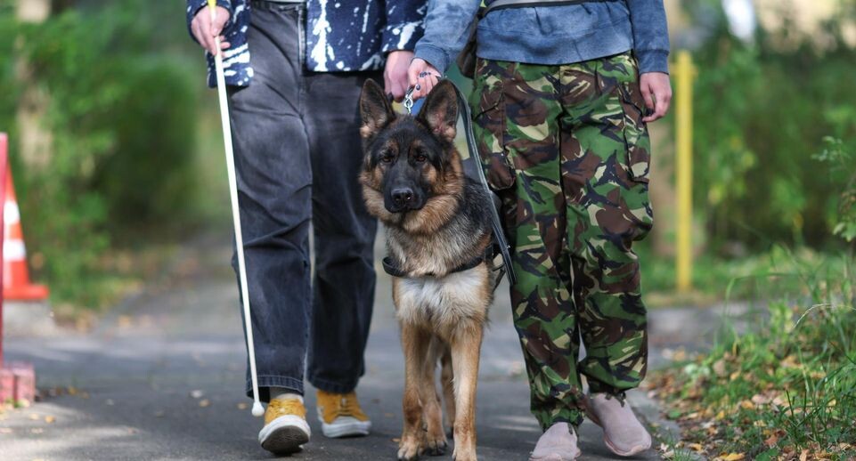    Belkin Alexey/news.ru / www.globallookpress.com