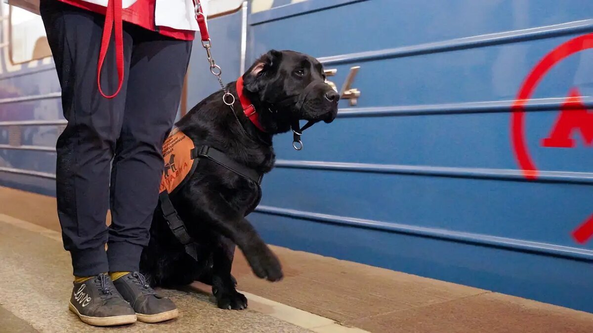     Пелагия Тихонова / АГН Москва