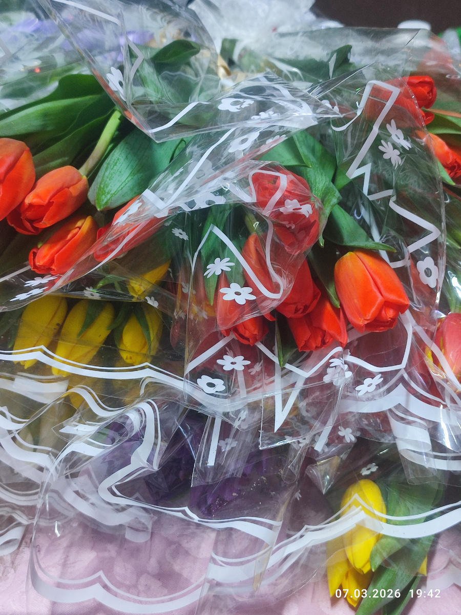 Фото автора.