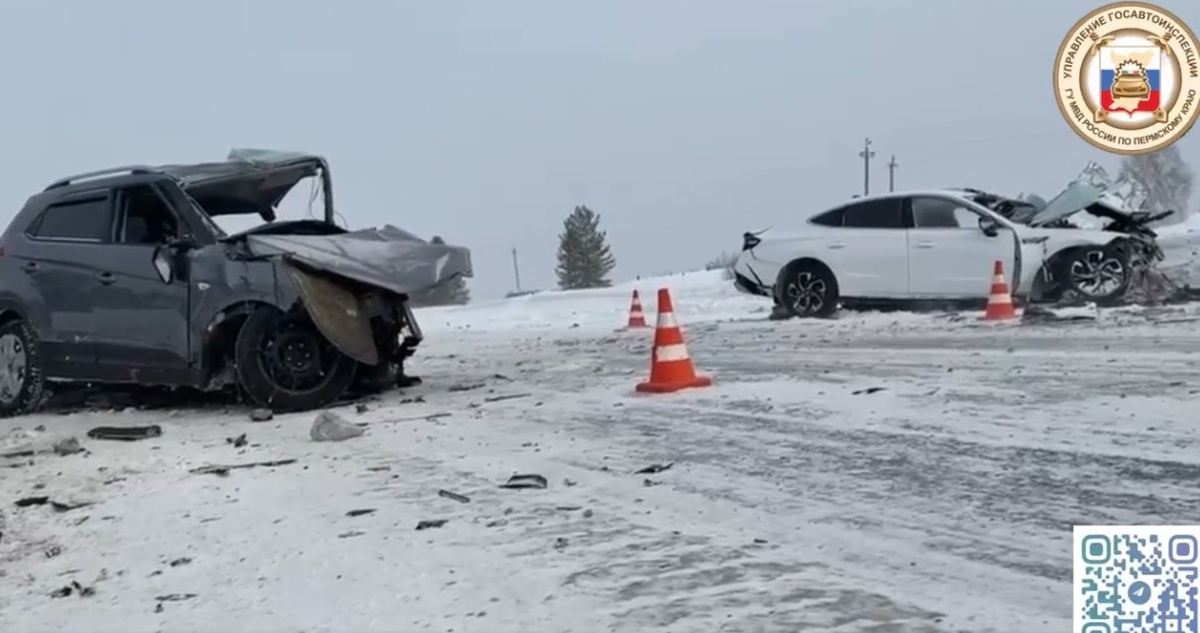    © ГУ МВД России по Пермскому краю