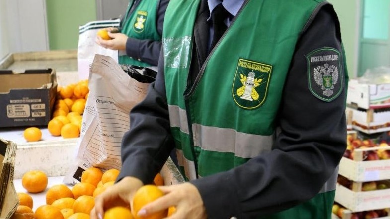    В Сургуте сожгли 138 кг подкарантинных фруктов