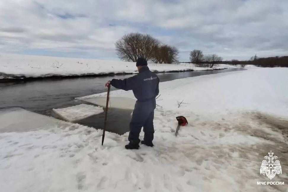     / Источник: © ГУ МЧС России по Московской области