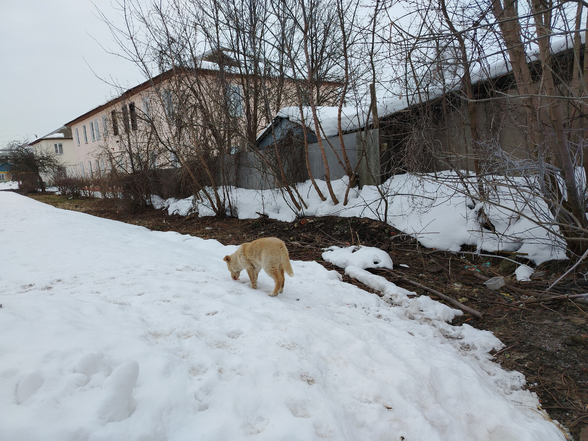 Это та самая малышка-подросток. 