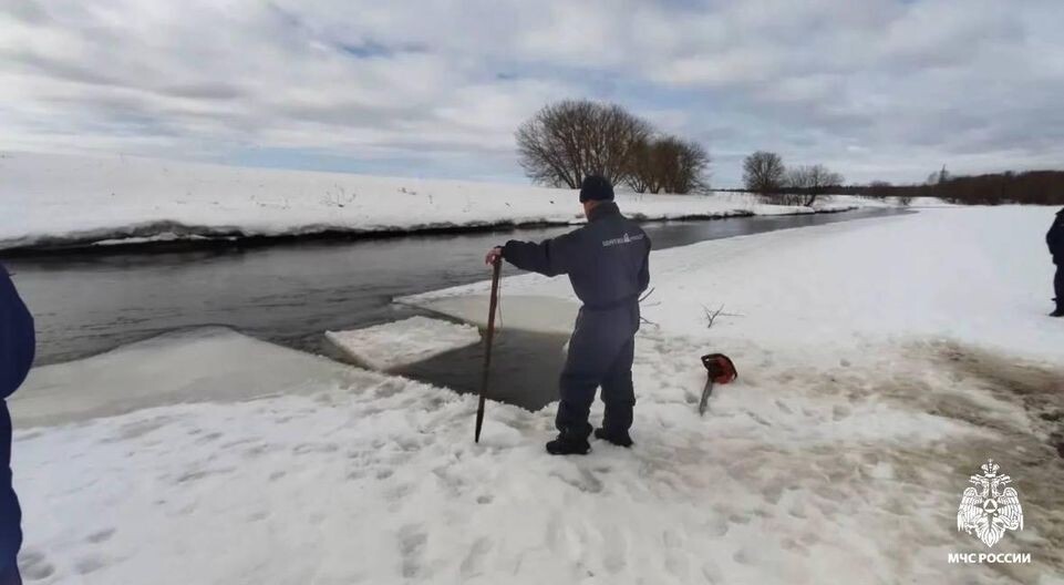     МЧС Московской области
