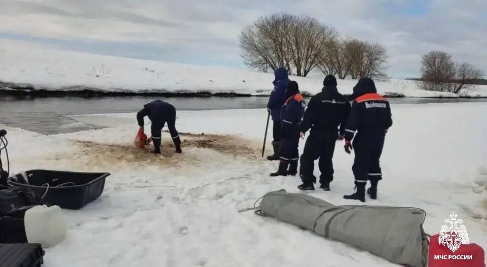     МЧС Московской области