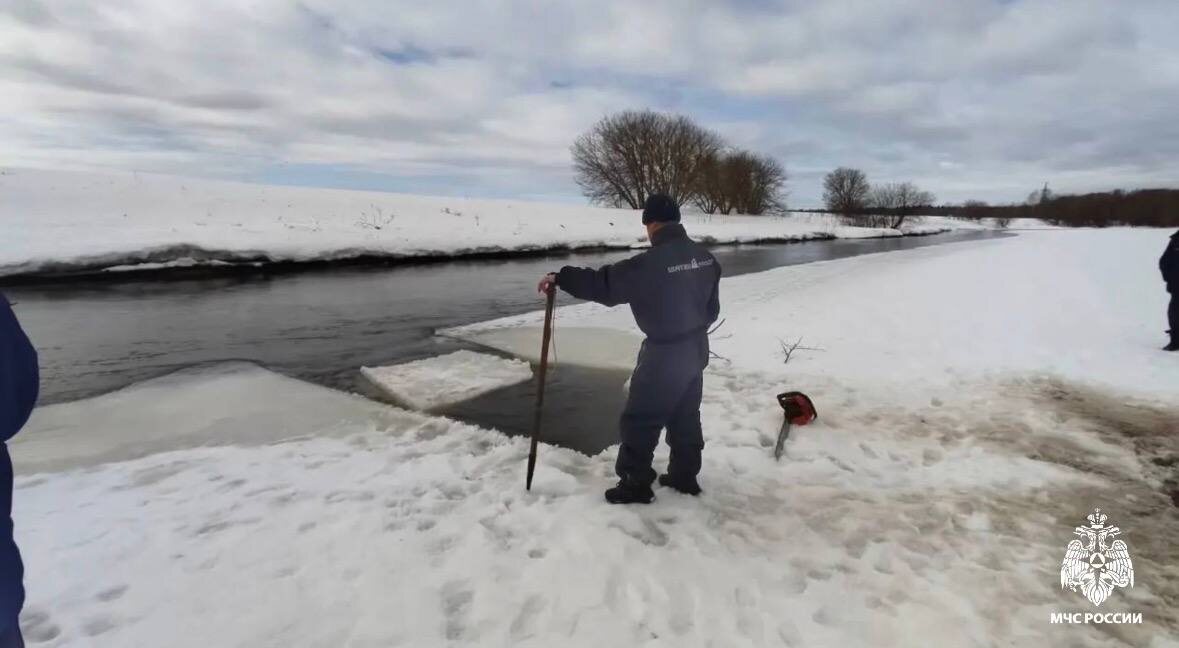    МЧС: пропавших в Звенигороде детей ищут 143 спасателя и волонтеры