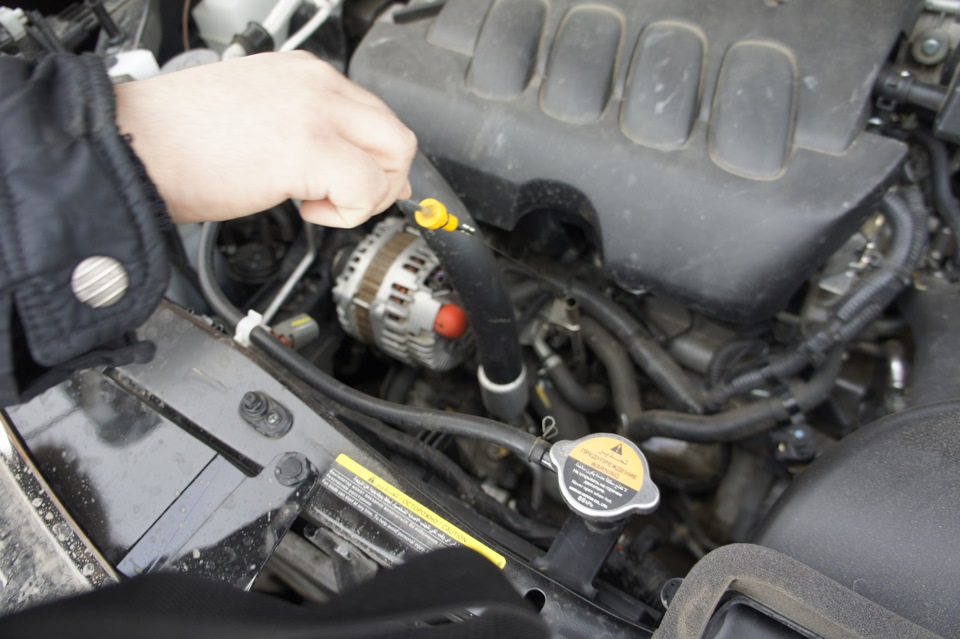 Фото Яндекс Картинки