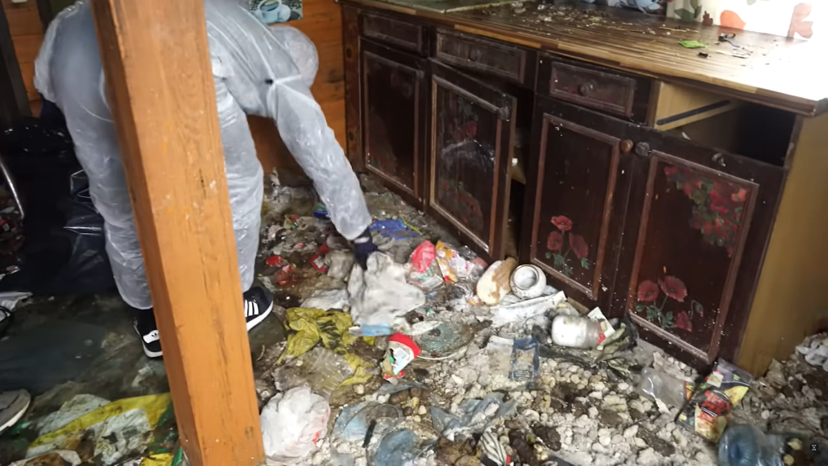 Фото: фрагмент видео канала "Вася на сене" на YouTube