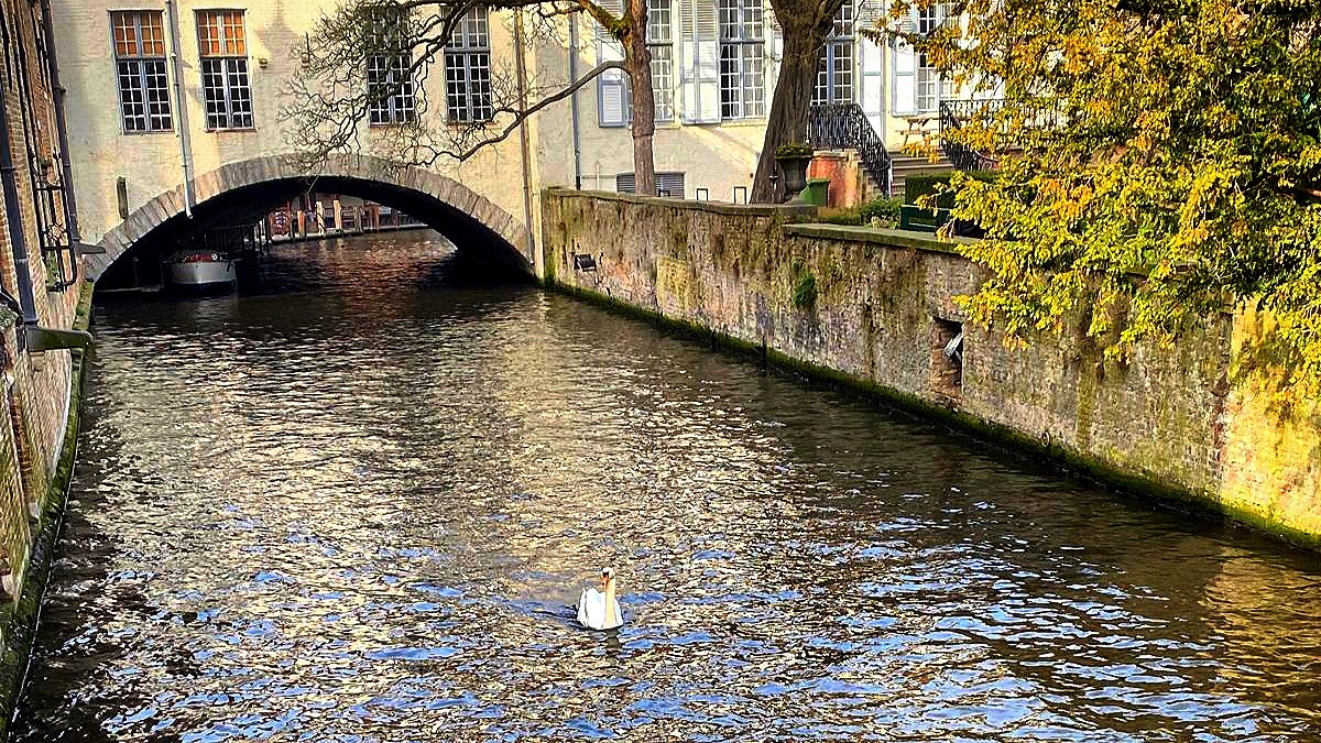 Фото от Лены.