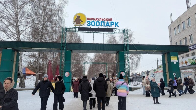     Барнаульцы отметили 8 марта в кругу «пушистых» друзей. Анастасия Панченко