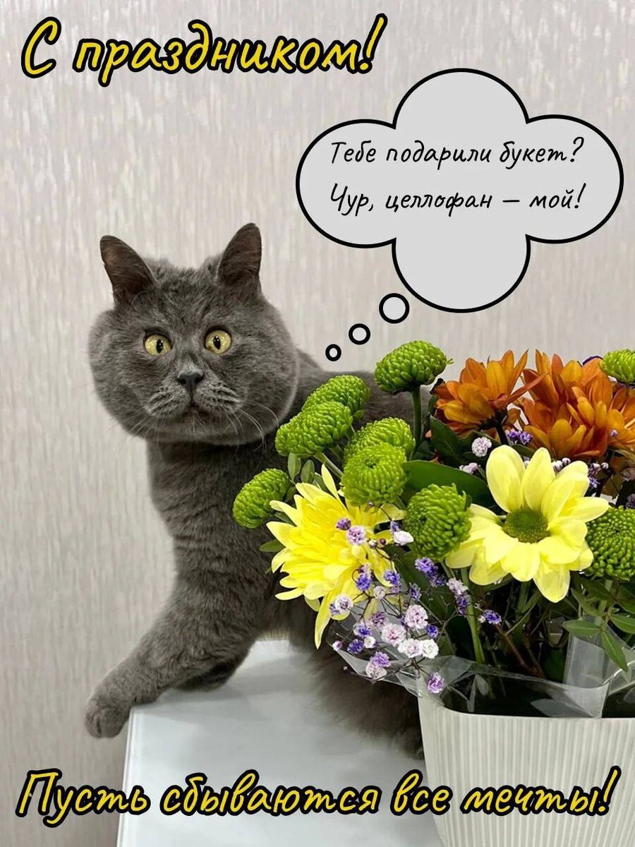 источник Яндекс-картинки