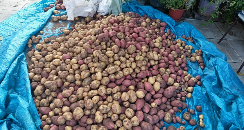    Фото: progorod43.ru