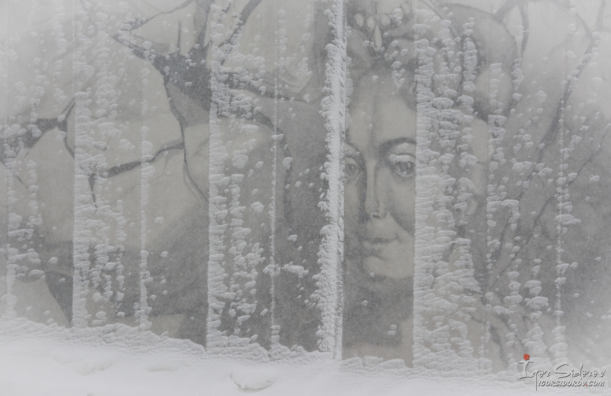 Вид из моего окна