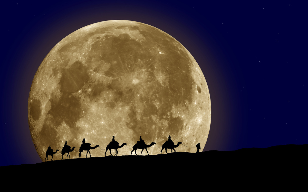     Почему днём в пустыне жарко, а ночью холодно? aldita.net