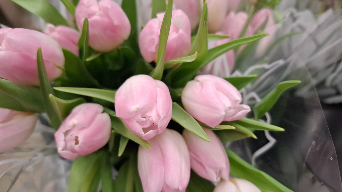 ❤️💕❤️💕❤️