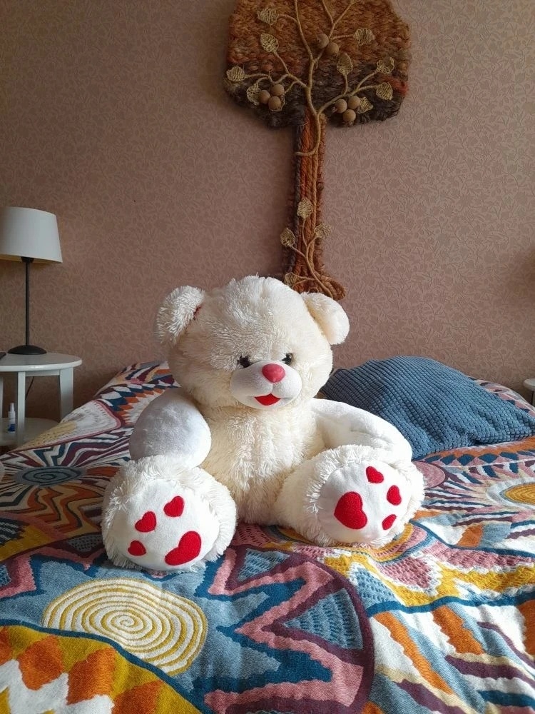 ЛИЧНОЕ Фото медведя разрешила опубликовать мой друг МУРАВЕЙ НА КАРУСЕЛИ . 