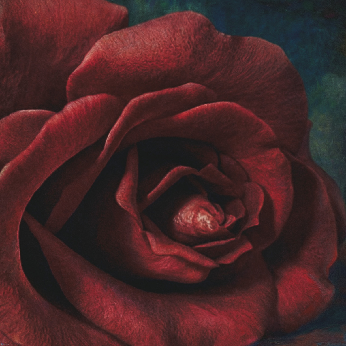 ТГ-Святая Руфь📸