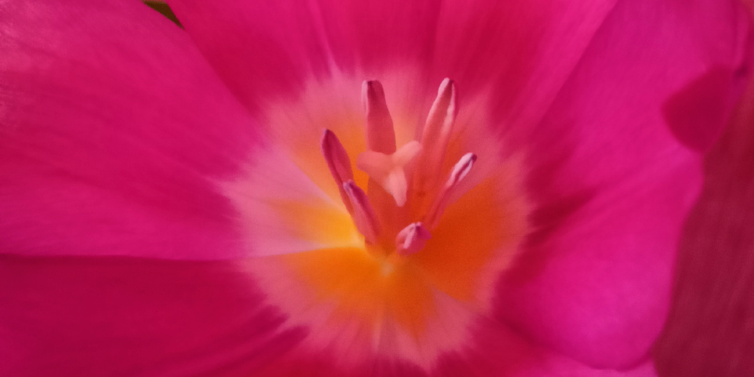 Вс. 08.03.26 г. Как прошел день.