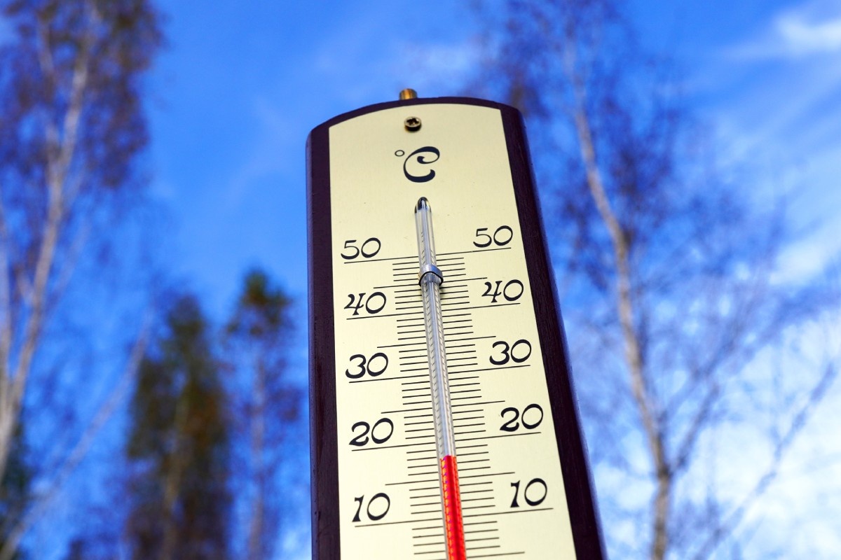    Фото: Maksim Safaniuk / Shutterstock.com