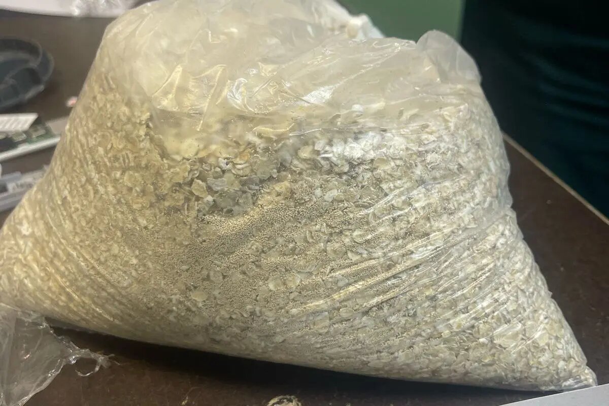    Фото: пресс-служба ГУФСИН России по Петербургу и Ленобласти