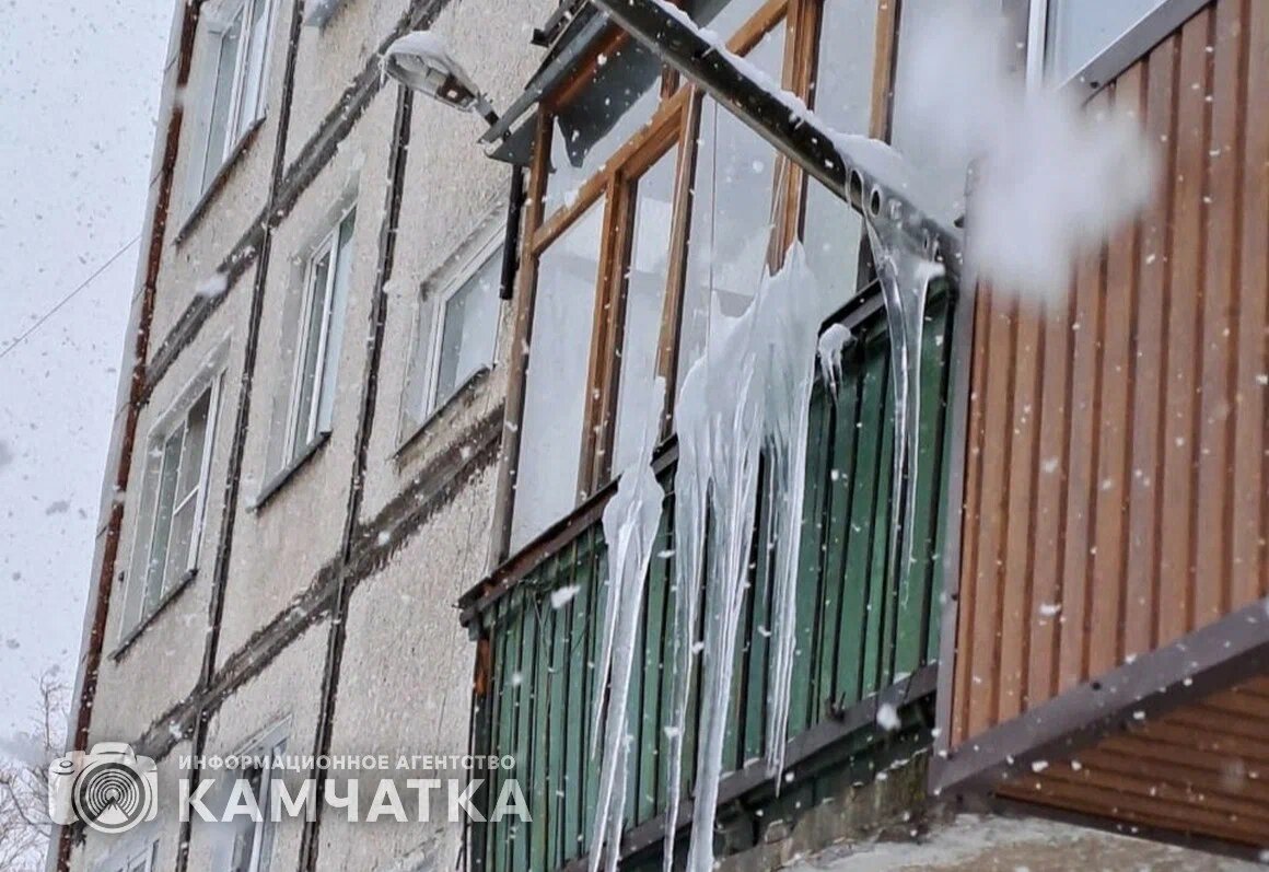 Фото ИА «Камчатка»