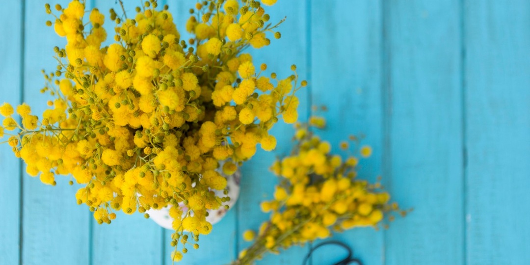 "Обман длиною в век": какую тайну о 8 марта годами скрывали от миллионов людей