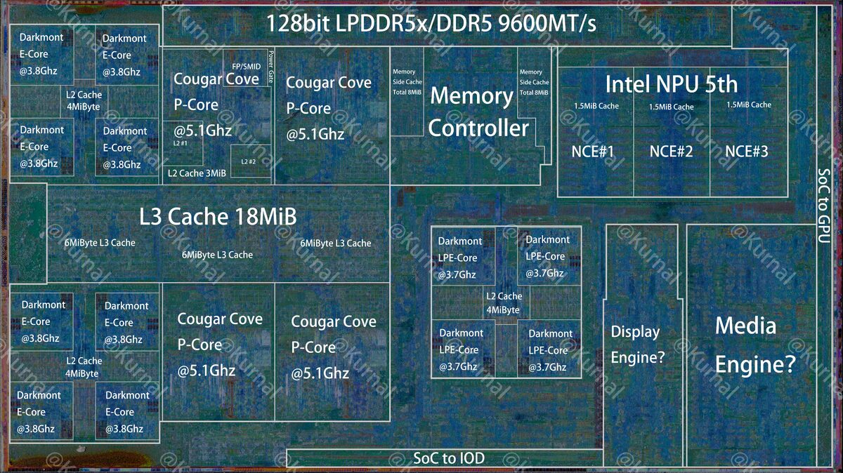 Фото Kurnal  📷
