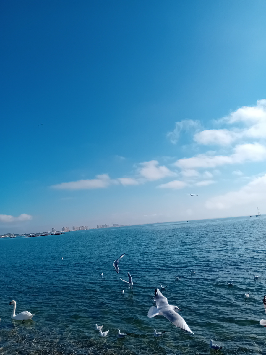  Авторское фото.