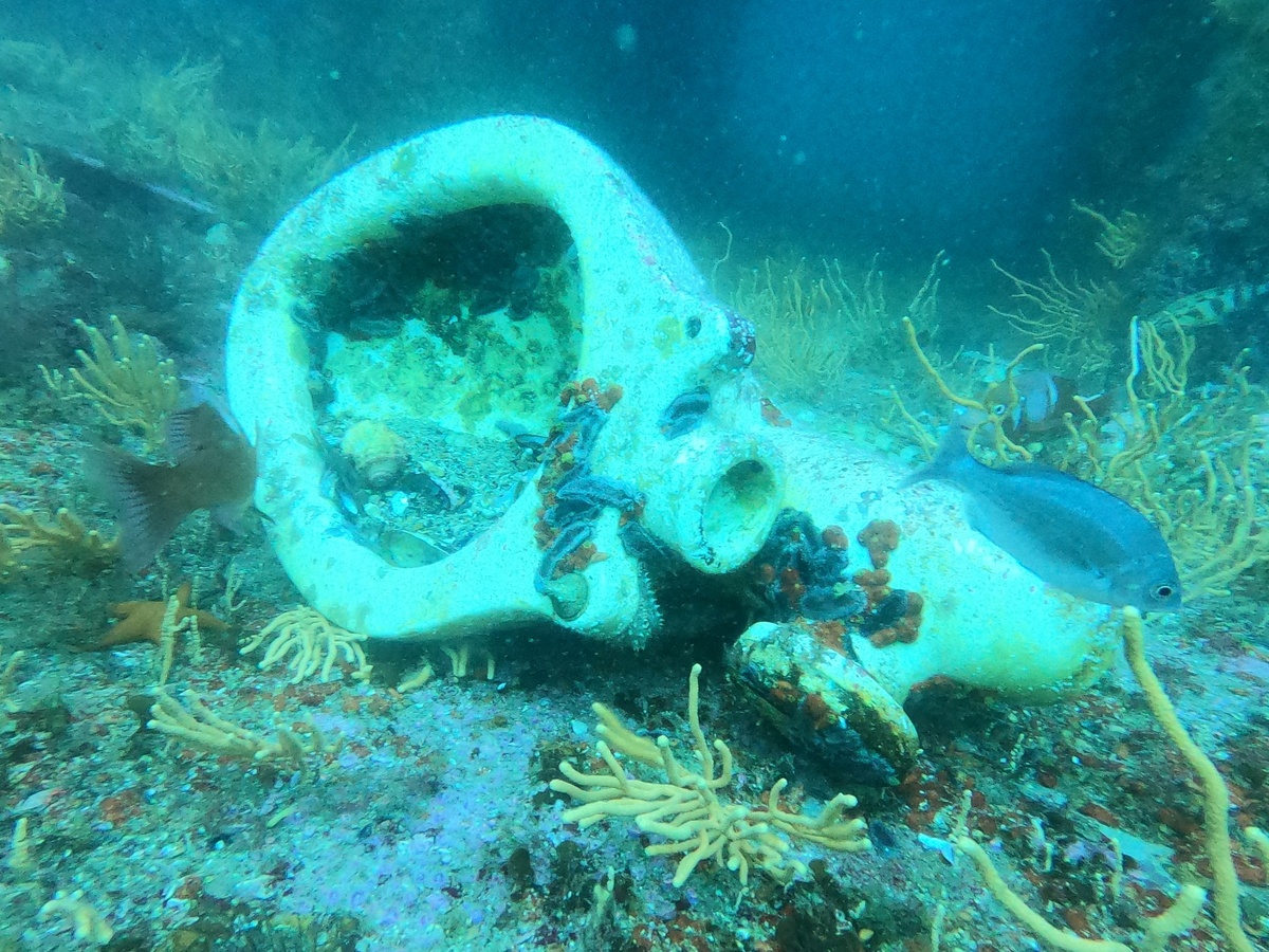 Пропавший унитаз - последний из сохранившихся