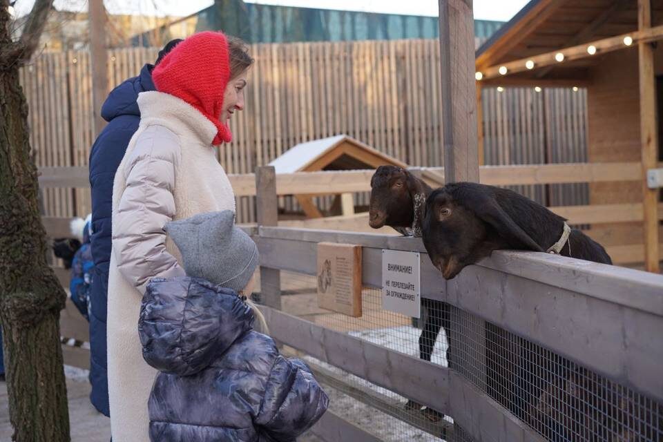    фото: ЦПКиО